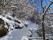 33 Il manto nevoso aumenta e ricopre di bianco il bosco